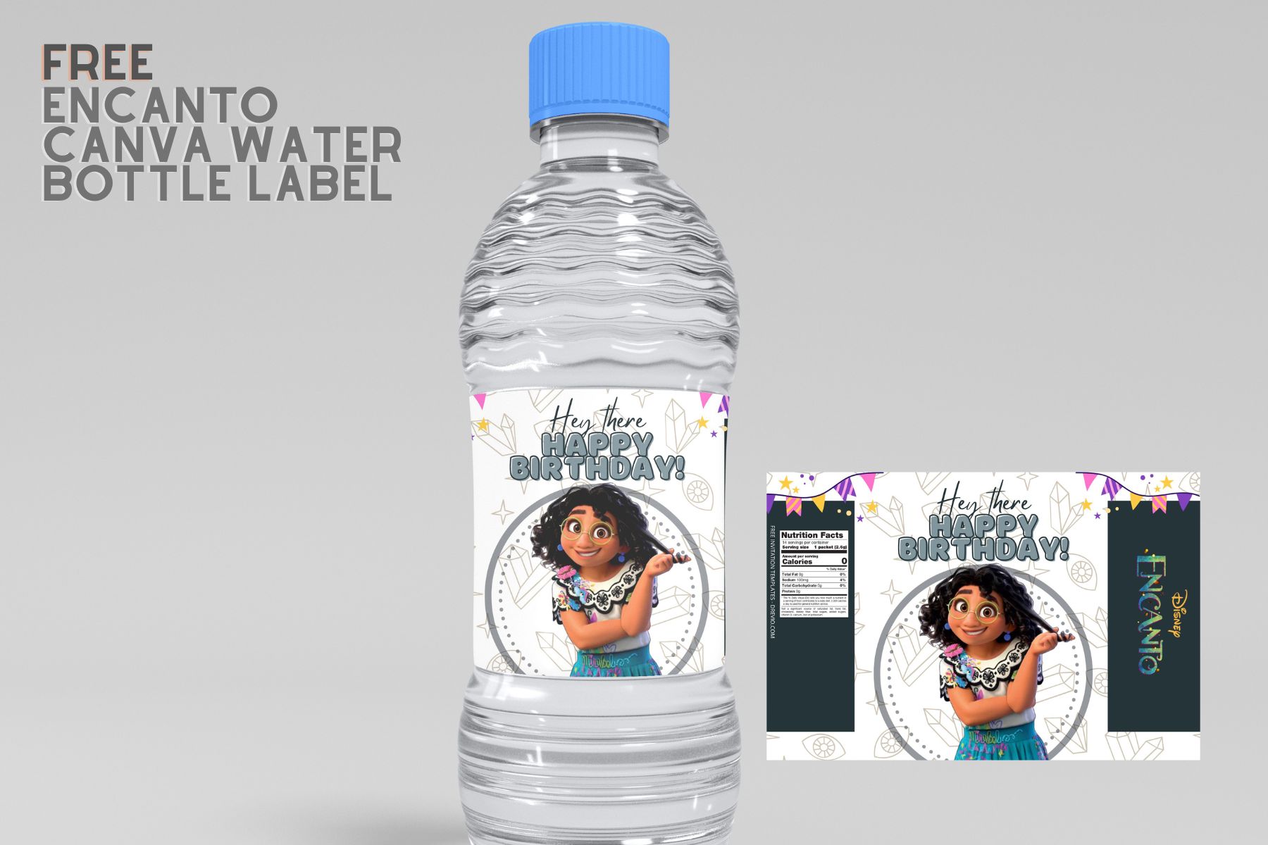 Encanto Chip Bag/encanto Water Bottle Label/encanto Caprisun Label